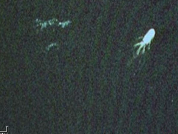 ఏమిటీ... అంతులేని ఆకారాలు