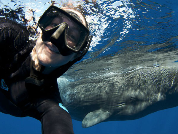 ఒళ్లు జలదరించే సెల్ఫీలు  