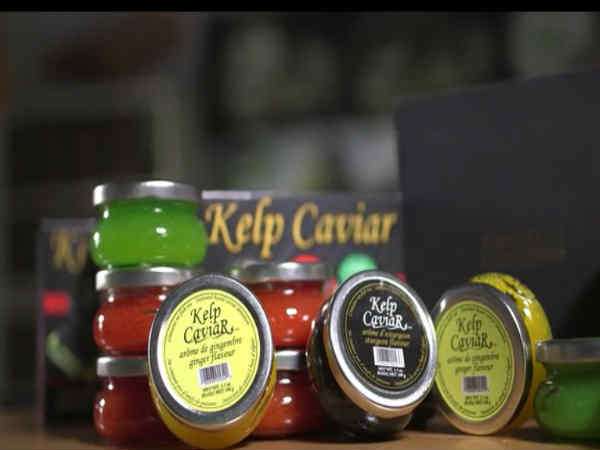 కిచెన్ లోకి కొత్త ఆహరం