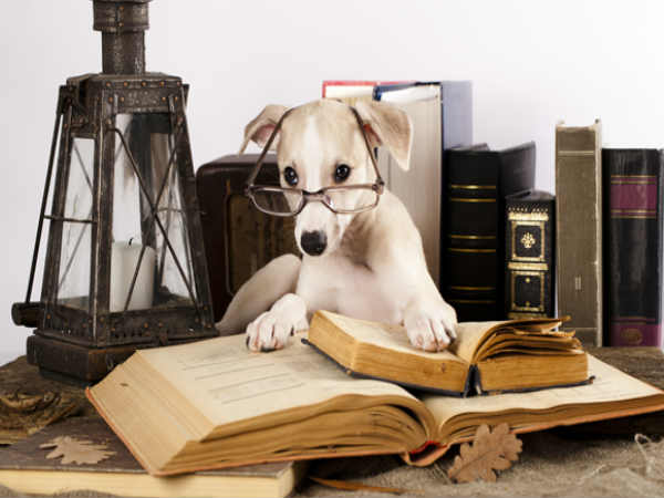 2.కొత్త కొత్తవి నేర్చుకోండి 