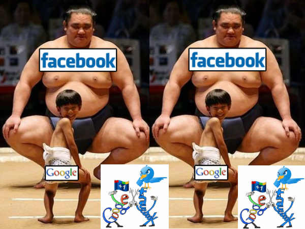 ఫేస్ బుక్ ఓ వార్తా సారధి 