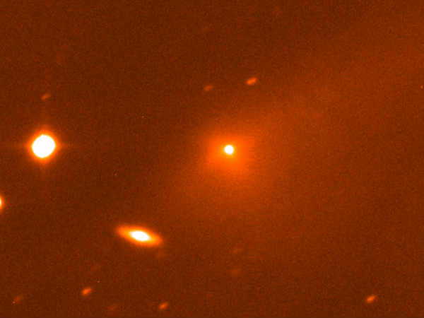 ఎట్టకేలకు ఏడు నెలల తరువాత మేల్కొంది