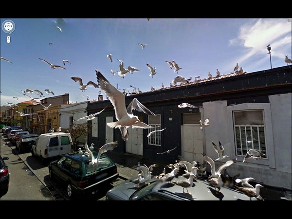 అనుమానాస్పద గూగుల్ స్ట్రీట్ వ్యూ ఫోటోలు