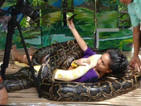 పాములతో ప్రాణాంత సెల్ఫీలు