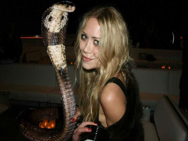 పాములతో ప్రాణాంత సెల్ఫీలు