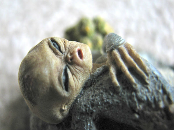 సోషల్ మీడియాలో అలజడి రేపుతున్న ఏలియన్ చిత్రాలు...