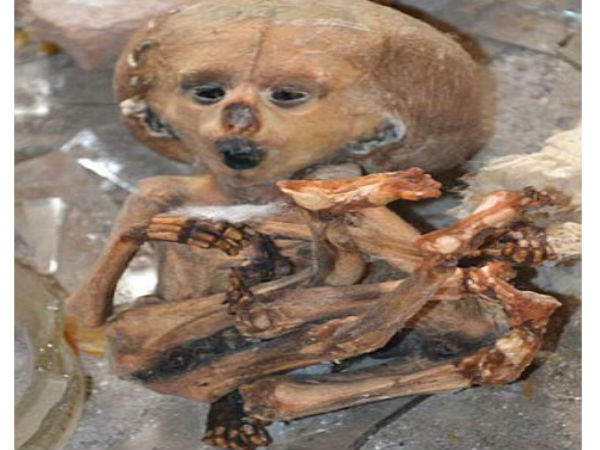 సోషల్ మీడియాలో అలజడి రేపుతున్న ఏలియన్ చిత్రాలు...