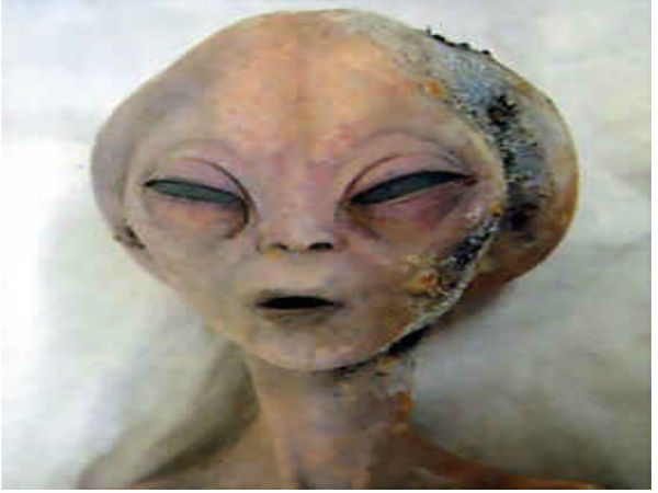 సోషల్ మీడియాలో అలజడి రేపుతున్న ఏలియన్ చిత్రాలు...