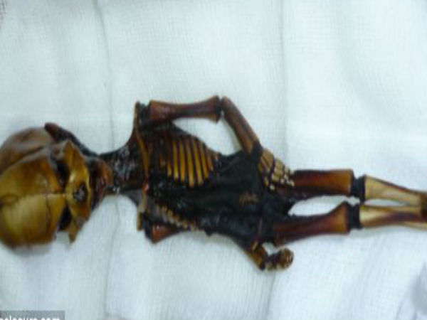 సోషల్ మీడియాలో అలజడి రేపుతున్న ఏలియన్ చిత్రాలు...