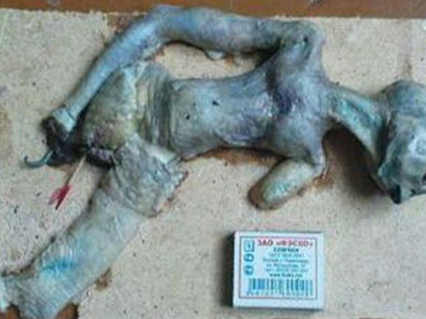 సోషల్ మీడియాలో అలజడి రేపుతున్న ఏలియన్ చిత్రాలు...