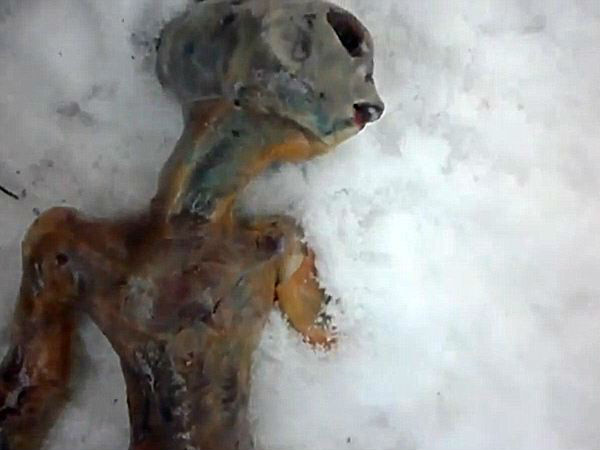 సోషల్ మీడియాలో అలజడి రేపుతున్న ఏలియన్ చిత్రాలు...