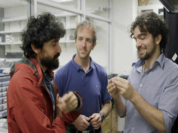 నీటి చుక్కల భౌతికత ఆధారంగా స్పందించే కంప్యూటర్ 