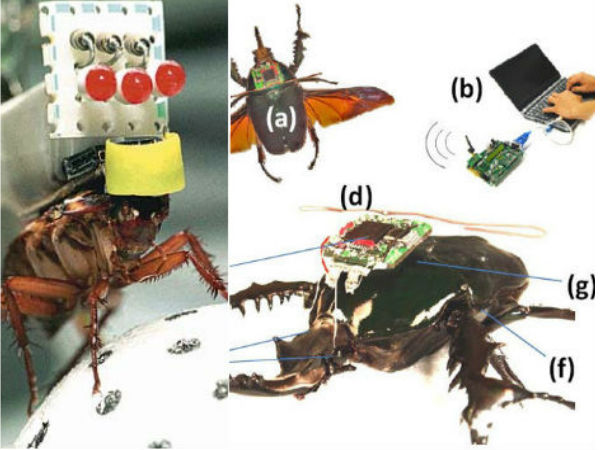గూఢచర్యం కోసం కొత్త అస్త్రాలు