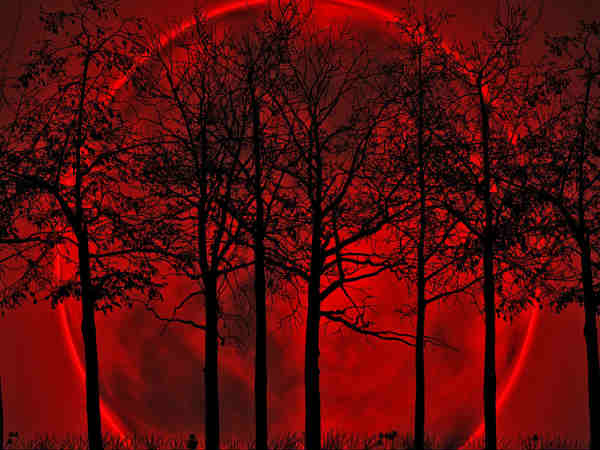 మళ్లీ యుగాంతం అలజడి