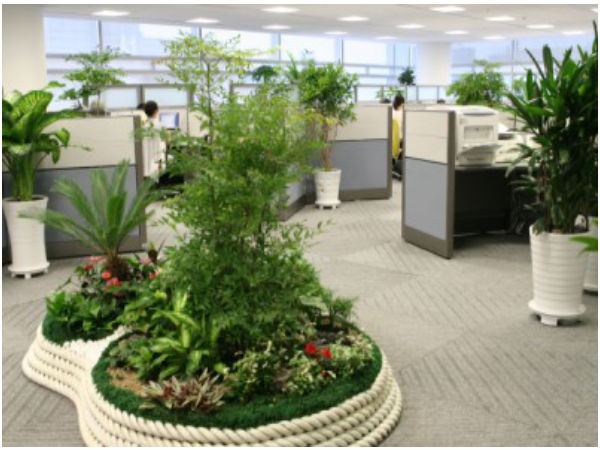 సౌత్ కొరియలోని సియోల్ ప్రాంతంలో ఏర్పాటు చేసిన సామ్‌సంగ్ ప్రధాన కార్యాలయం