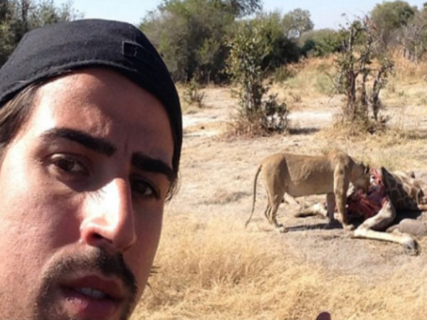 పులి ముందు సెల్పీ