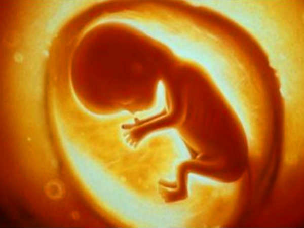  గర్భస్త శిశువుకు సెల్‌ ఫోన్‌ అత్యంత ప్రమాదకరం