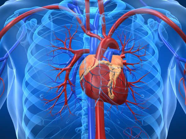 గుండెపోటుకు కారణం