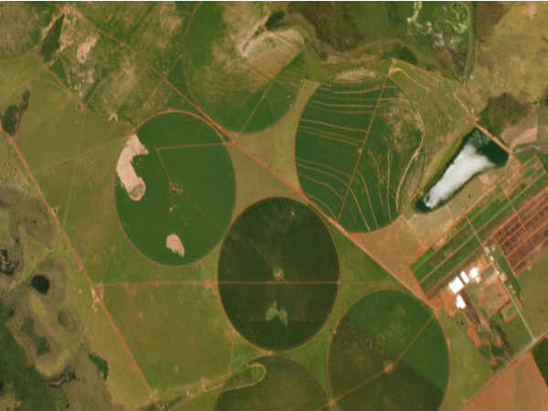 పావురం శాటిలైట్ ఫోటో