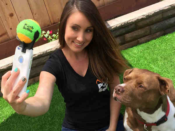 కుక్క ఏకాగ్రత అంతా టెన్నిస్ బాల్ పైనే