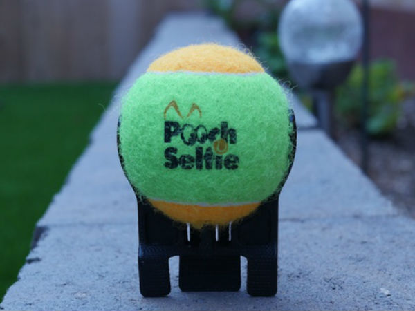 మీ బుజ్జి పప్పీతో ఫోటోలు