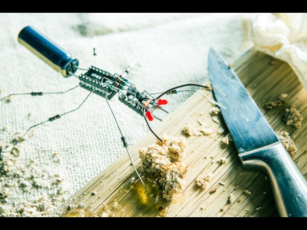 క్రియేటివ్ ‘mosquito' డిజైన్స్ బై క్రియేటివ్ పీపుల్