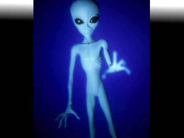 గిజ్‌బాట్ పేజీని లైక్ చేయండి 