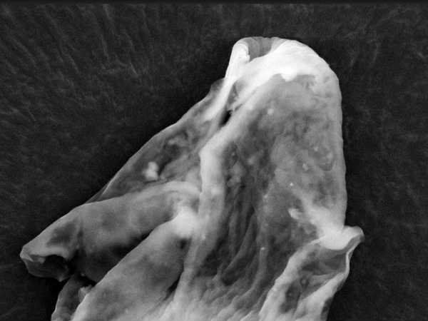 కండువా అంత పొడవుతో, వెంట్రుక మందంతో 