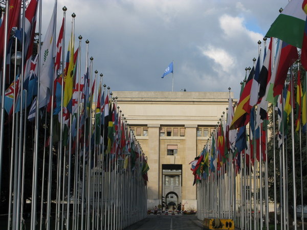 2013 సెప్టెంబర్‌లో ఐక్యరాజ్య సమితి తీర్మానం