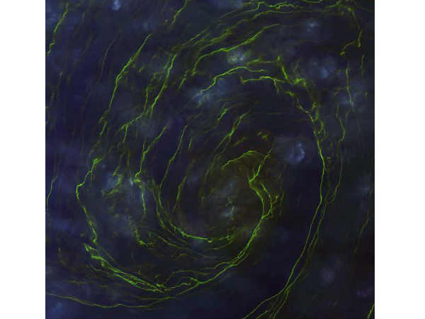 ఒమన్ లోని సుర్ సిటీకి దగ్గర్లోని ప్రాంతం