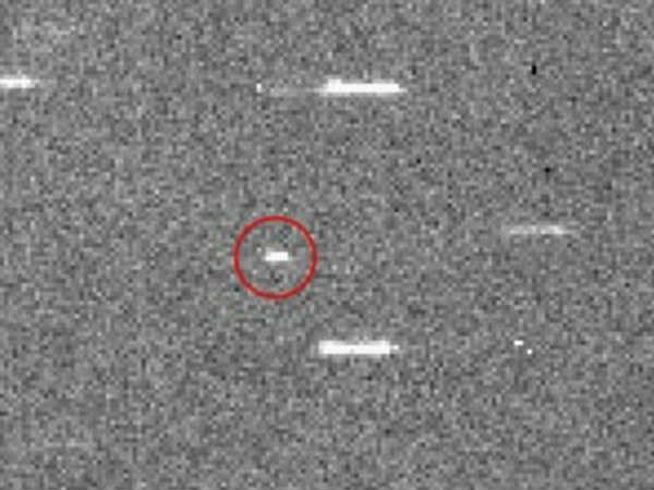 దీనికి డబ్ల్యూటీఎఫ్ అని పేరు ..