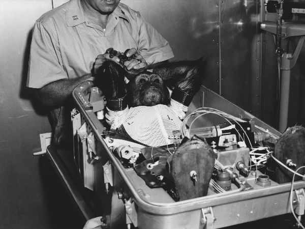 1980లోనే స్టార్ట్ చేసినా కొన్ని కారణాల వల్ల..