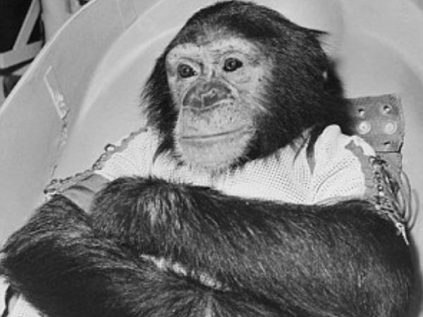  జ్ఞానపరమైన సామర్ధ్యాలు మరియు వాటి లెర్నింగ్ నైపుణ్యాలు..