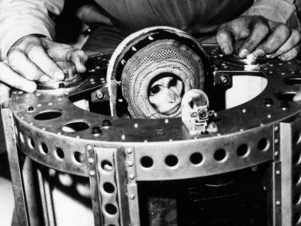 మొట్ట మొదటిగా ఆల్బర్ట్ ( కోతి) 1 జూన్ 1948 న..