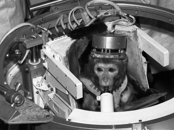 తరువాతి సంవత్సరం సెకండ్ ఆల్బర్ట్ కూడా ..