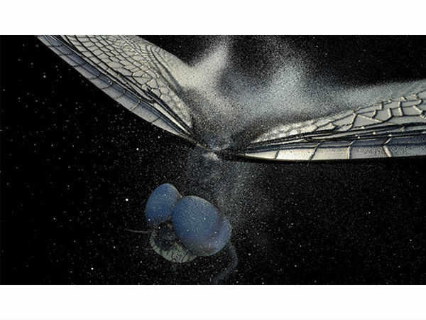 ఇక చిన్న చిన్న కీటకాలు అయితే మీకు ఇలా..