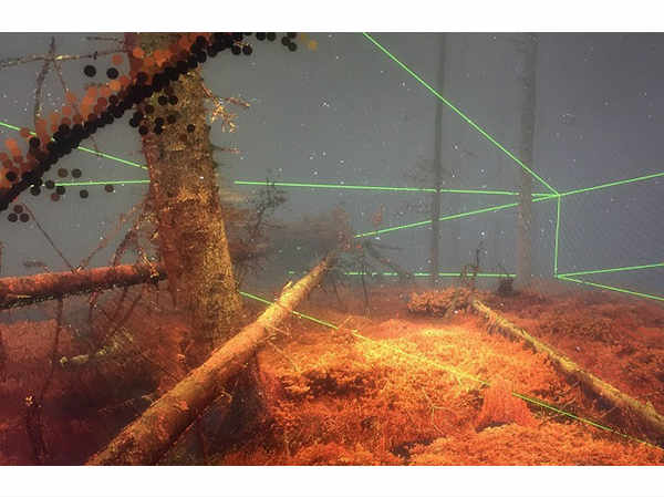 అతి చిన్న వస్తువు కూడా మీకు చాలా పెద్దదిగానూ..