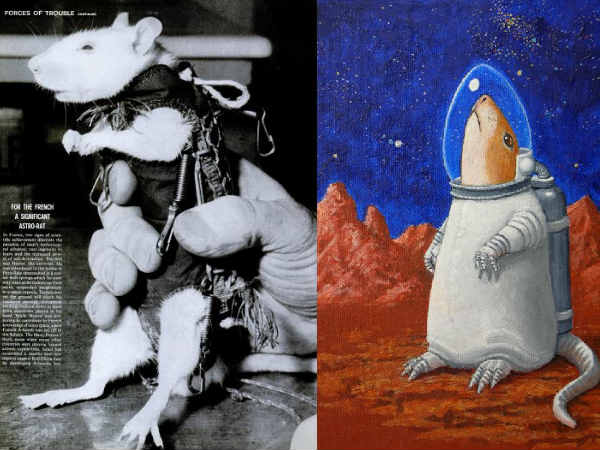  నాసాతో నాలుగో కాంట్రాక్టులో భాగంగా స్పేస్‌ఎక్స్ కంపెనీ ..