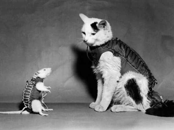 భూమిపై మనుషుల్లో కండర క్షీణత సమస్యకు ..