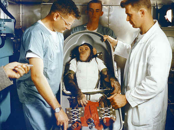  మొట్టమొదట అంతరిక్షంలోకి వెళ్ళిన జంతువు కోతి