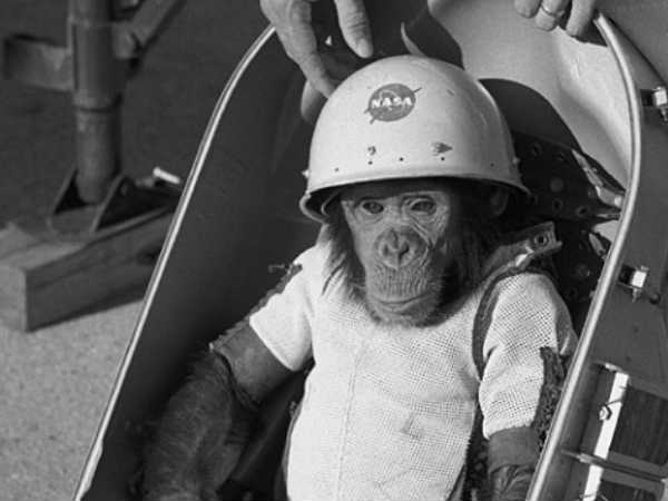 అంతరిక్షంలోకి జంతువులను పంపేందుకు మార్గదర్శిగా ..