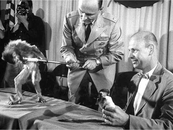 అంతరిక్ష జంతువుశాల 