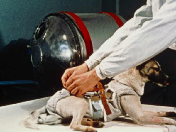 గిజ్‌బాట్ పేజిని లైక్ చేయండి 