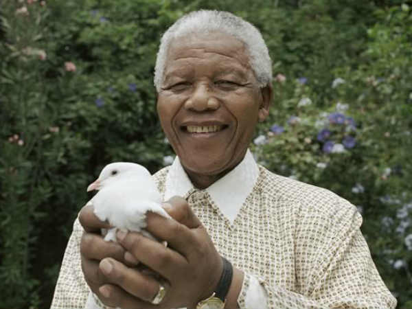 గిజ్‌బాట్ పేజీని లైక్ చేయండి