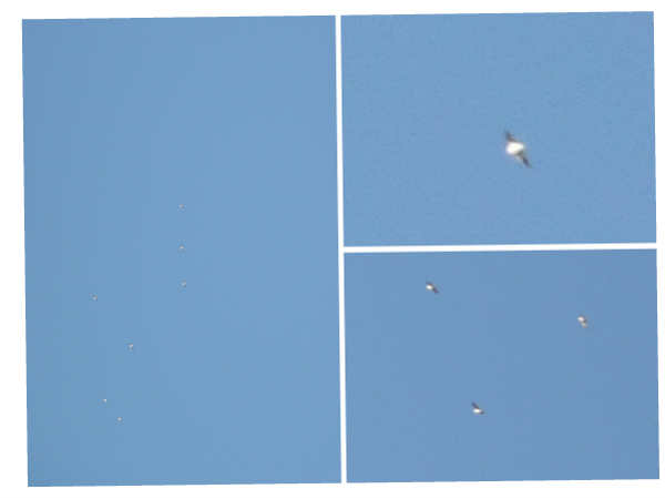 గ్రహంతర వాసులు విసురుతున్న వస్తువులుగా