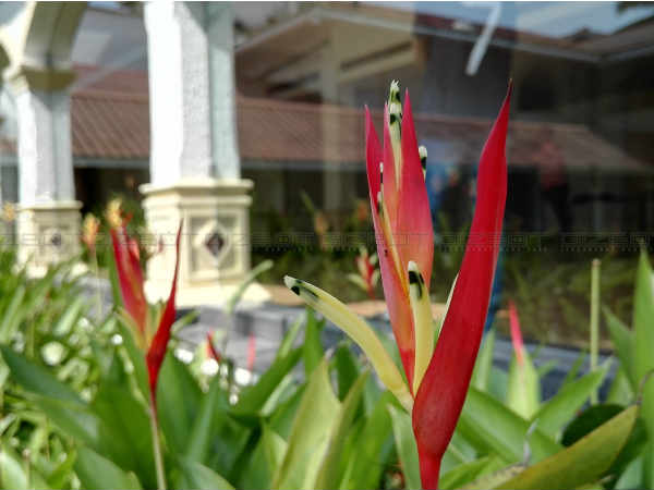 హానర్ 7 కెమెరా టెస్ట్ : తక్కువ వెళుతురులోనూ హైక్వాలిటీ ఫోటోగ్రఫీ