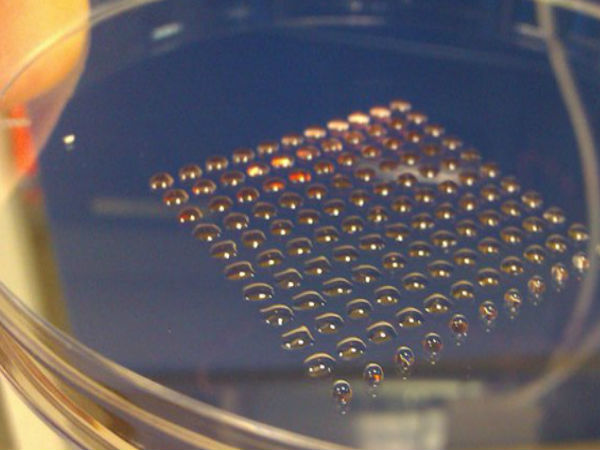 3డీ ప్రింటింగ్‌తో అద్భుతాలు