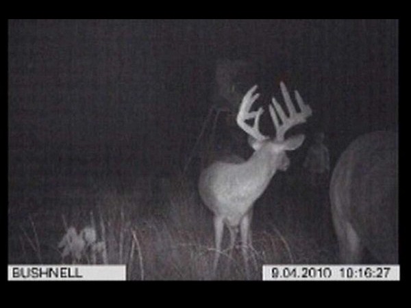 ప్రపంచాన్ని మోసం చేసిన 20 గోస్ట్ ఫోటోలు