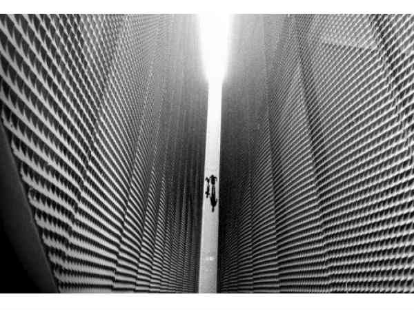 అవార్డులు గెలుచుకున్న ఐఫోన్ ఫోటోలు