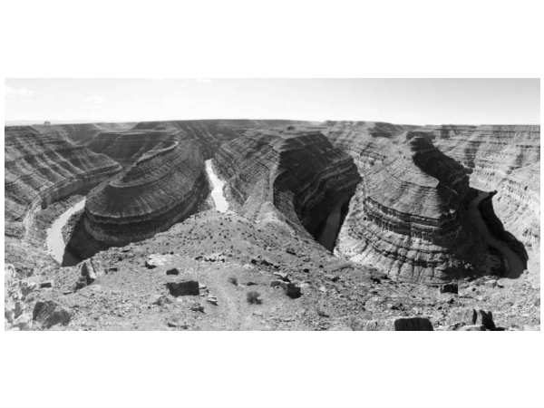 అవార్డులు గెలుచుకున్న ఐఫోన్ ఫోటోలు